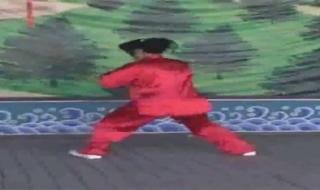 陈式太极拳小架一路 陈式太极拳小架一路