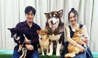 陈乔恩的老公是谁叫什么名字 陈乔恩老公个人资料