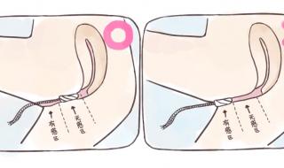 卫生棉条的用法图片