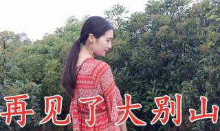 告别大别山的词曲作者 再见了大别山简谱